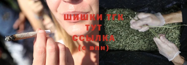 ПСИЛОЦИБИНОВЫЕ ГРИБЫ Михайловск