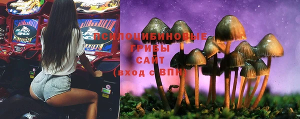 марки lsd Михайловка