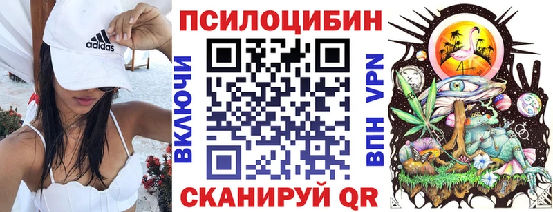 Галлюциногенные грибы MAGIC MUSHROOMS где можно купить наркотик Борисоглебск