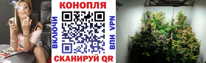 Канабис план  Борисоглебск 